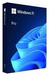 Microsoft Windows Pro 11 64bit ENG USB Flash
