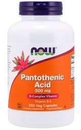 Suplement Diety, Now Pantothenic Acid 500mg 250 K