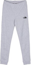 THE NORTH FACE Slim Spodnie szary (Tnf Light