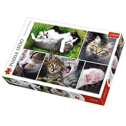 Trefl, puzzle, Kocie sprawy, 1500 el.