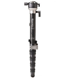 Monopod + głowica Benro SUPADUPA PRO MSDPL46C