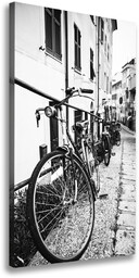 Foto obraz na płótnie pionowy Miejskie rowery