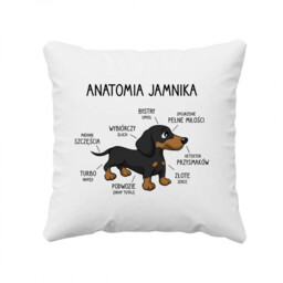 Anatomia jamnika - poduszka na prezent