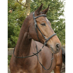 HARRY''S HORSE Ogłowie bezwędzidłowe