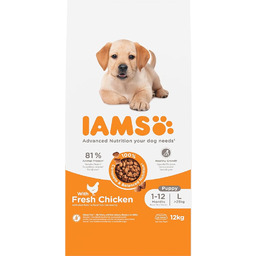 IAMS Junior sucha karma dla psów z kurczakiem