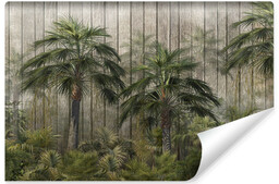 Muralo Fototapeta Do Salonu Bujne Tropikalne Drzewa 208x146cm