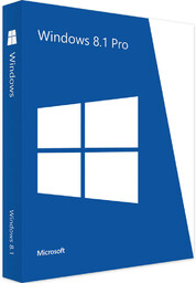 Windows 8.1 Professional (OEM)