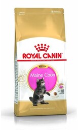 ROYAL CANIN Karma dla kota Kitten Maine Coon