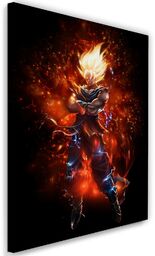 Obraz na płótnie, Dragon Ball 70x100