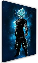 Obraz na płótnie, Dragon Ball 70x100