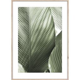 Obraz ARTBOX DIGI 50 x 70 cm BR002