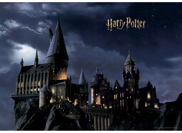 Fototapeta dziecięca Harry Potter 252 x 182 cm,