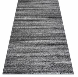 Dywan SILVER SAHARA szary 160x220 cm
