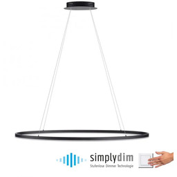 Lampa wisząca LED TITUS 2393-13 - Paul Neuhaus