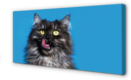 Obraz na płótnie Oblizujący się kot