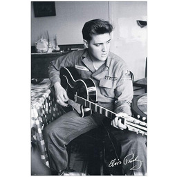 Artopweb TW18501 Elvis Presley panele dekoracyjne, wielokolorowe, 60