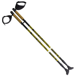 Nils Extreme Kije treningowe Nordic Walking NW603