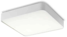 Oprawa sufitowa MENSA 48 R12120 - Rendl