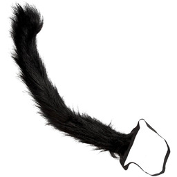 Ogon Kotek czarny