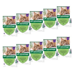 Elanco Advantage 10 x Krople na pchły ADVANTAGE