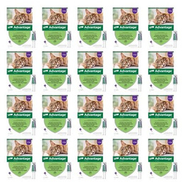 Elanco Advantage 20 x Krople na pchły ADVANTAGE