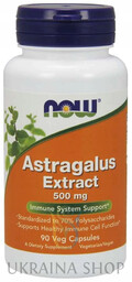 Astragalus Extract 500mg (Traganek), NOW Foods, 90 kapsułek