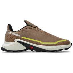 Buty do biegania Salomon Alphacross 5 L47460100 Beżowy