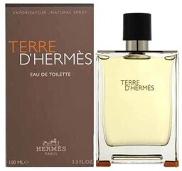 Hermes Terre d''Hermes Woda toaletowa 100 ml