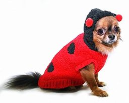 Hip Doggie HD-7CHLB-XS Chenille Lady Bug - kostium