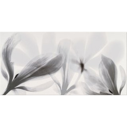 Płytka ścienna inserto COLORADO NIGHTS grey flower glossy
