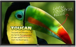 Monitor interaktywny BenQ RP653 65"