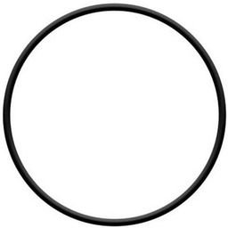 Sera Staw Uszczelka or do komory pompy