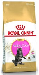 ROYAL CANIN Karma dla kota Kitten Maine Coon
