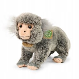 Małpa małpka pigmejka maskotka 25 cm Eko