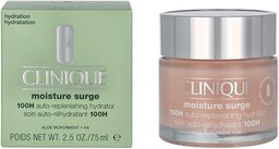 Hydrator z automatycznym uzupełnianiem MOISTURE SURGE 100H