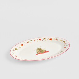 Patera Merrique