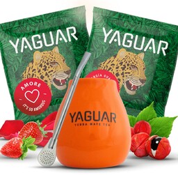 Zestaw Yerba Mate Matero + Bombilla na start