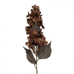 Sztuczne Kwiaty Suszone 70 cm B Clayre &