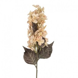 Sztuczne Kwiaty Suszone 70 cm C Clayre &