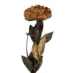 Sztuczne Kwiaty Suszone 65 cm A Clayre &