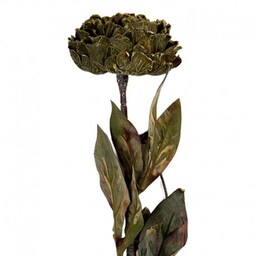 Sztuczne Kwiaty Suszone 65 cm B Clayre &