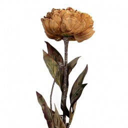 Sztuczne Kwiaty Suszone 65 cm C Clayre &