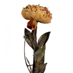 Sztuczne Kwiaty Suszone 65 cm D Clayre &