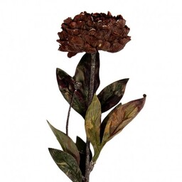 Sztuczne Kwiaty Suszone 65 cm E Clayre &