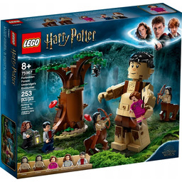 Lego Harry Potter 75967 Zakazany Las: spotkanie Umbridge