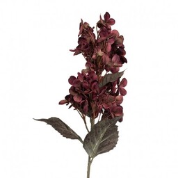 Sztuczne Kwiaty Suszone 72 A Clayre & Eef