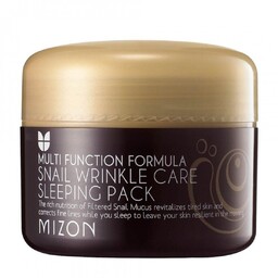 MIZON_Multi Function Formula Snail Wrinkle Care Sleeping Pack