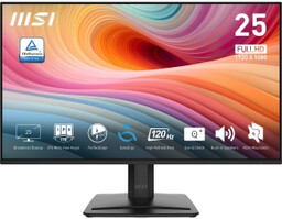 MSI Pro MP251 E2 24,5" Full HD IPS