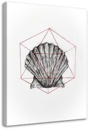 Obraz na płótnie, Geometryczna muszla - Jan Perit