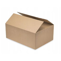 Karton Pudełko 310x220x140mm Pudło Kartonowe 100szt.